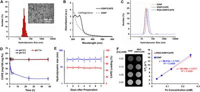 Tumor integrin targeted theranostic iron oxide nanoparticles for delivery of caffeic acid phenethyl ester: preparation, characterization, and anti-myeloma activities